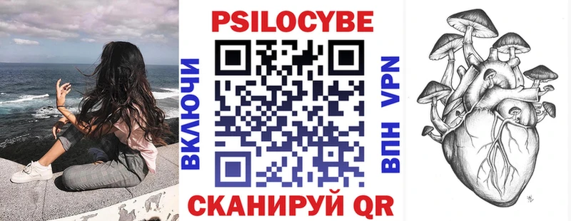 Псилоцибиновые грибы Psilocybe как найти закладки Шебекино